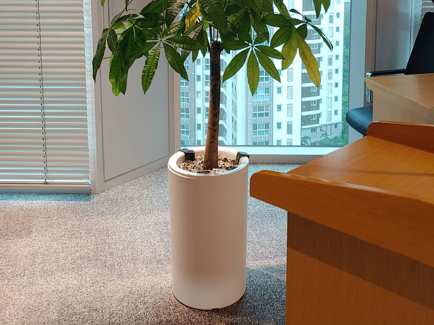 카펫 위에 놓인 저수조 일체형 화분
